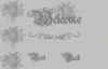 grey1thumb.jpg (160052 byte)